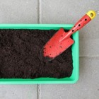 Zelf zaaien en kweken in kweekbakken of volle grond